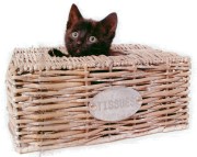 Kitty-in-basket-180.jpg
